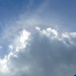 レクのプロフィール画像