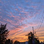 はるのプロフィール画像