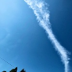 こまるほまるのプロフィール画像